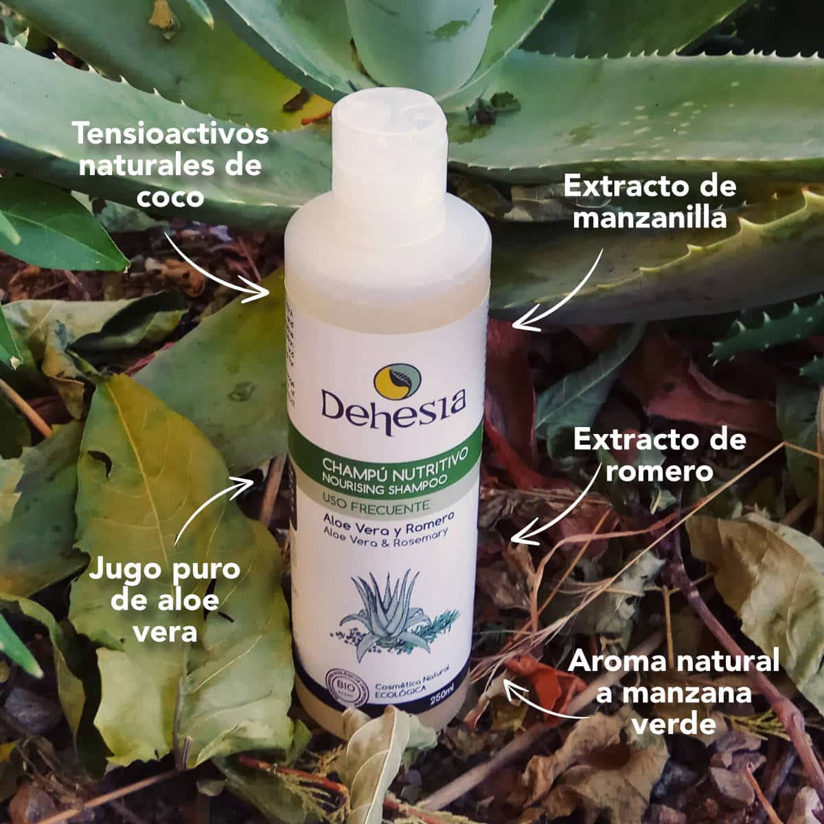 Dehesia BIO Nourishing Shampoo med Aloe Vera och Rosmarin 250ml - Bild 5